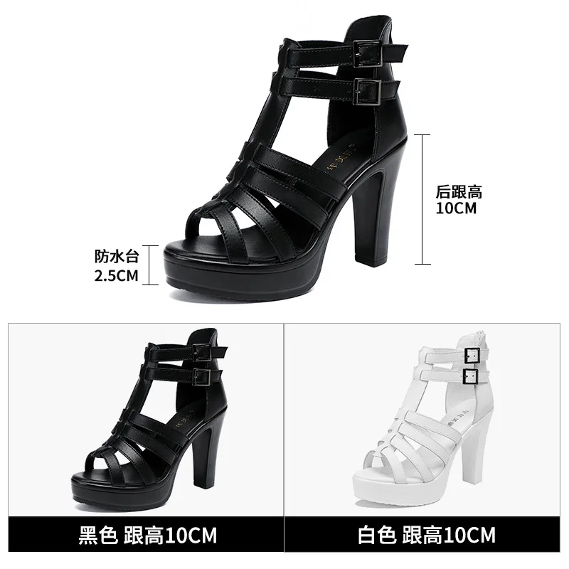 Gladiator Ladies Shoe for Wome - Summer Clothing Stores review and price